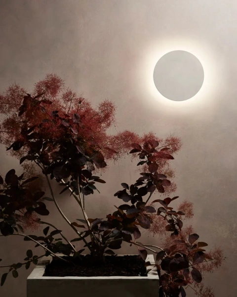 Wall light Halo WHT 3CCT LED HV3594T-WHT 24W IP65